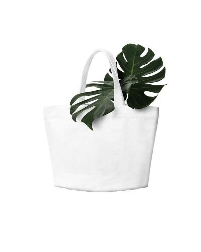 Fairy Sensitive Plant (Demo)